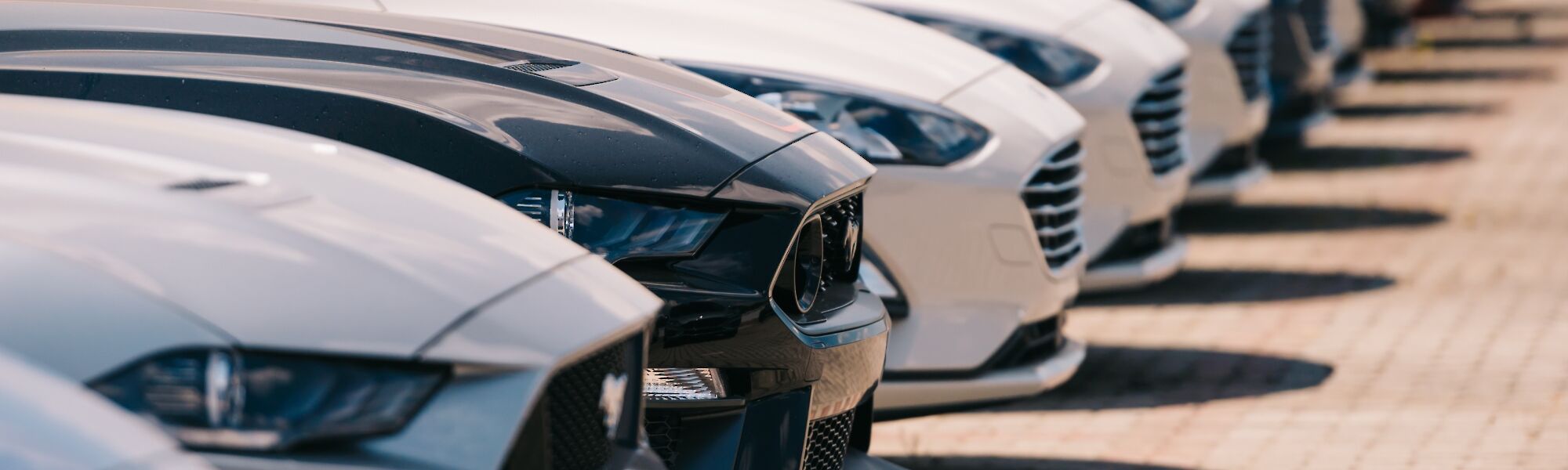 Ford személyautók állnak egymás mellett