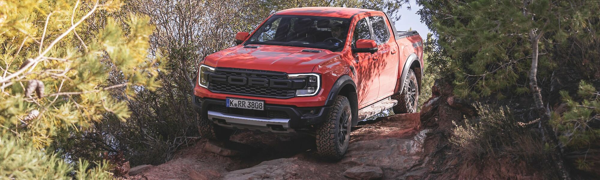 Ford Ranger halad az erdei úton