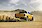 Ford Ranger kanyarodik a homokban